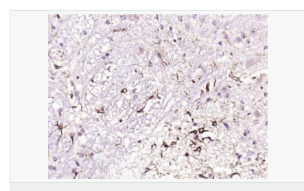 60612bf93f02d.png image.png